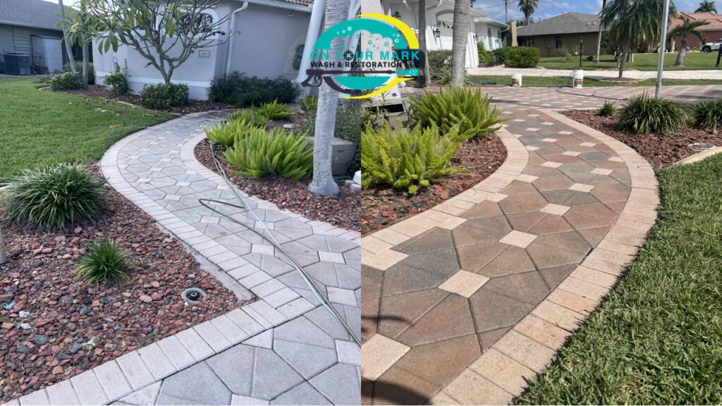 Residential paver walkway cleaning and restoration